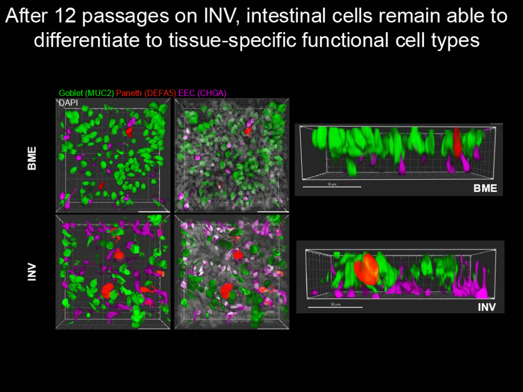 Hans Clevers Technology