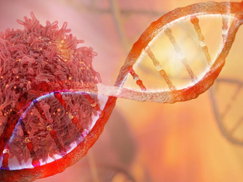 DNA cancer cell
